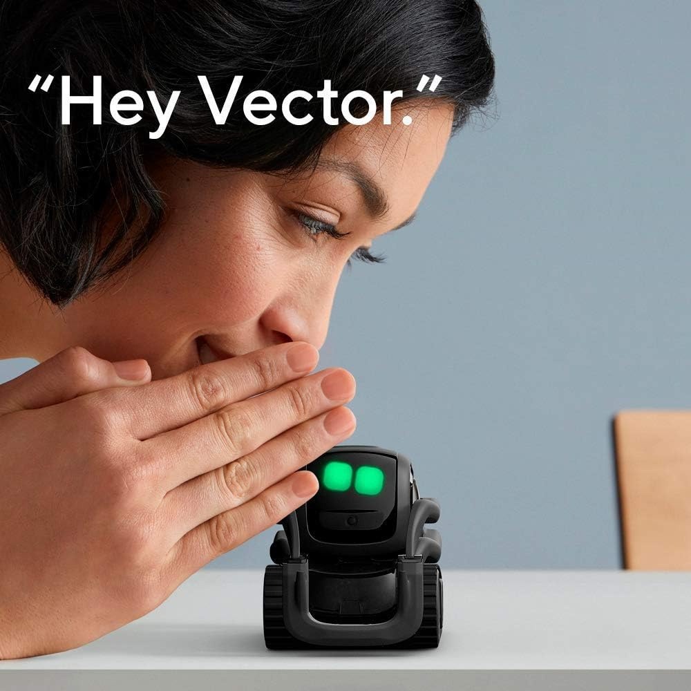 AI ChatGPT 2.0 Connected Robot - Smart Home Battery Camera review and price