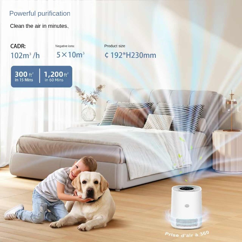 Smart Home Air Purifier with A - Smart Home Controller review and price